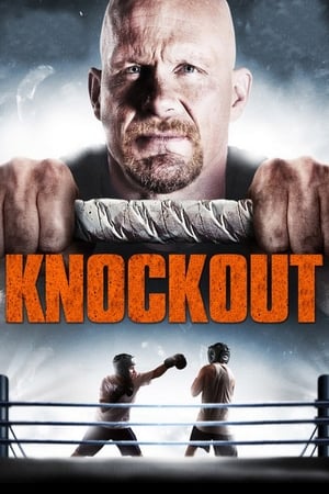 Born to Fight 2011 Hindi Dual Audio 300MB