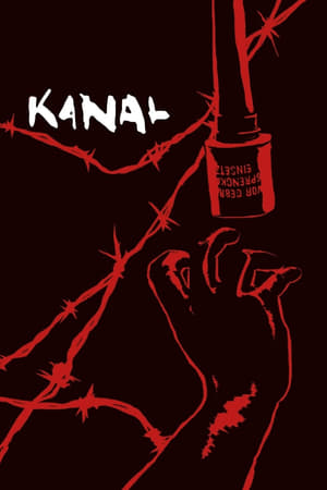 Kanal 2015 Hindi Dual Audio [1.3GB]