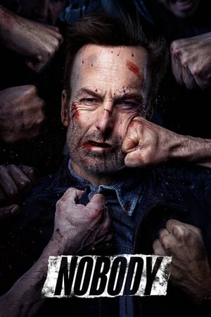 Nobody (2021) Hindi (Cleaned) Dual Audio [880MB]