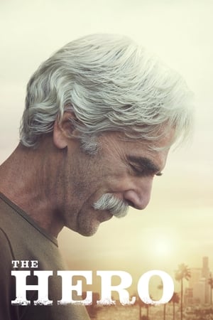 The Hero (2017) Hindi Movie - [300MB]