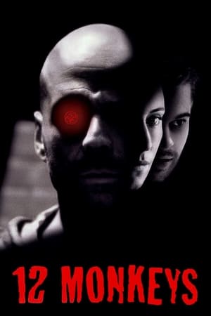 Twelve Monkeys (1995) Hindi Dual Audio 450MB